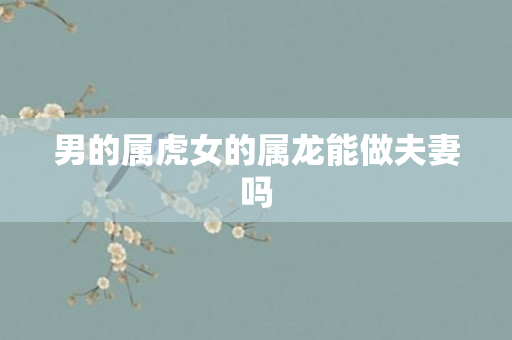 男的属虎女的属龙能做夫妻吗