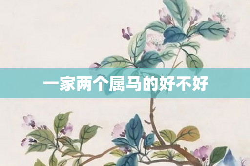 一家两个属马的好不好