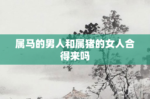 属马的男人和属猪的女人合得来吗
