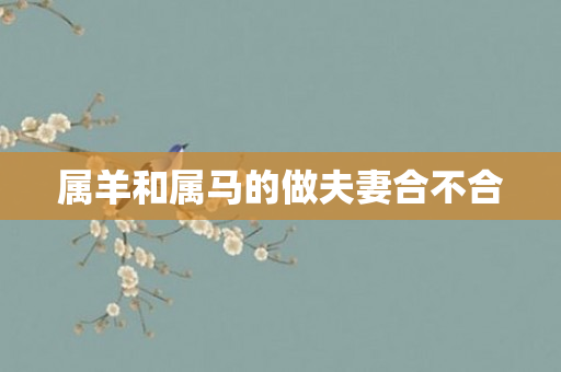 属羊和属马的做夫妻合不合