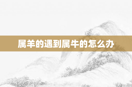 属羊的遇到属牛的怎么办