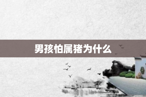男孩怕属猪为什么