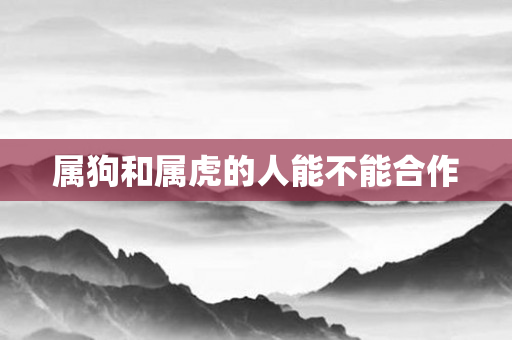 属狗和属虎的人能不能合作