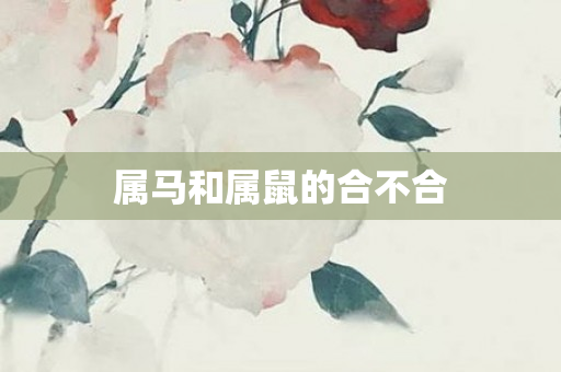 属马和属鼠的合不合
