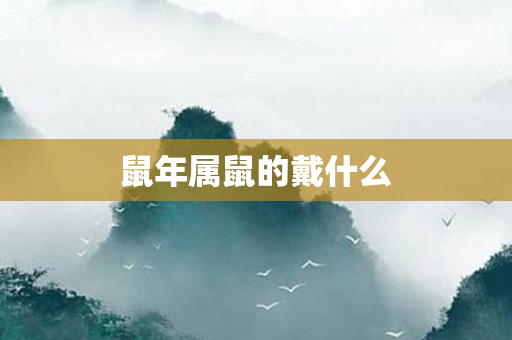 鼠年属鼠的戴什么
