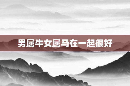 男属牛女属马在一起很好