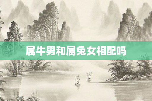 属牛男和属兔女相配吗