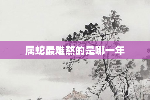 属蛇最难熬的是哪一年