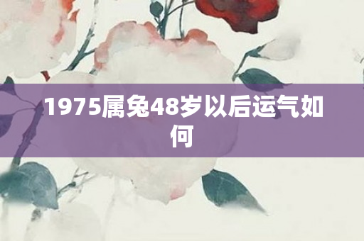 1975属兔48岁以后运气如何