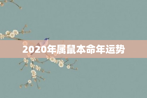 2020年属鼠本命年运势