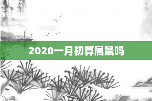 2020一月初算属鼠吗