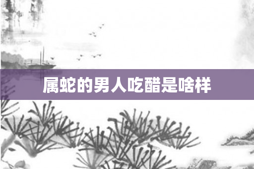 属蛇的男人吃醋是啥样