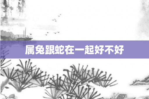 属兔跟蛇在一起好不好