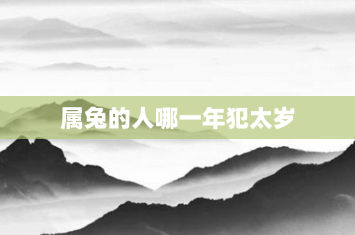 属兔的人哪一年犯太岁