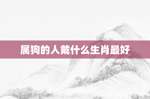 属狗的人戴什么生肖更好