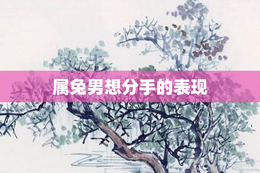 属兔男想分手的表现