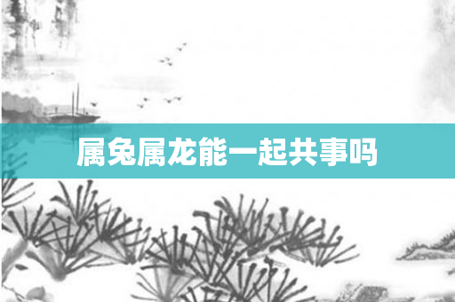 属兔属龙能一起共事吗