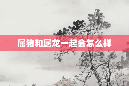 属猪和属龙一起会怎么样