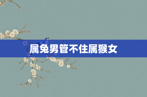 属兔男管不住属猴女