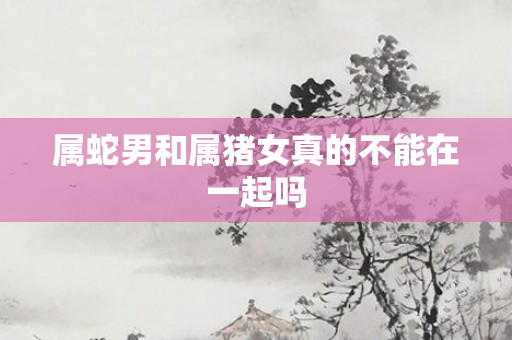 属蛇男和属猪女真的不能在一起吗