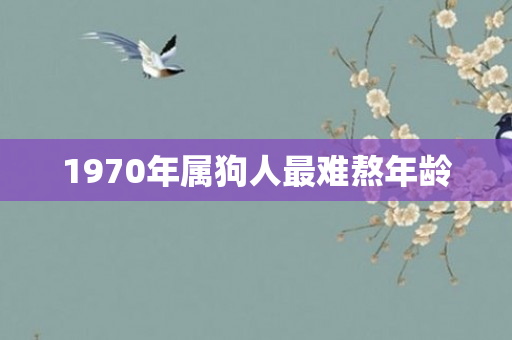 1970年属狗人最难熬年龄