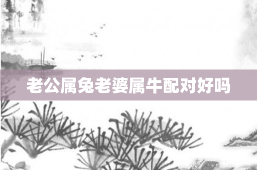 老公属兔老婆属牛配对好吗