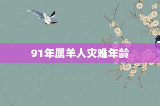91年属羊人灾难年龄