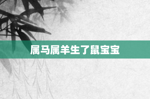 属马属羊生了鼠宝宝