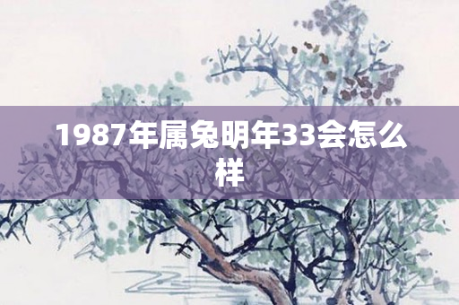 1987年属兔明年33会怎么样