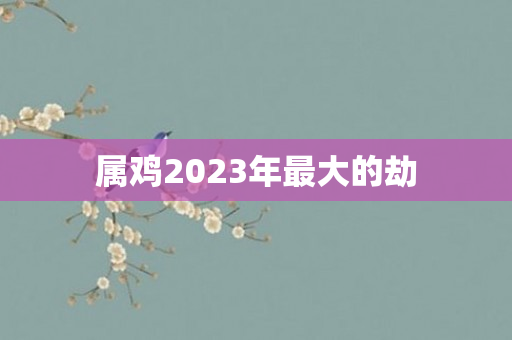 属鸡2023年更大的劫