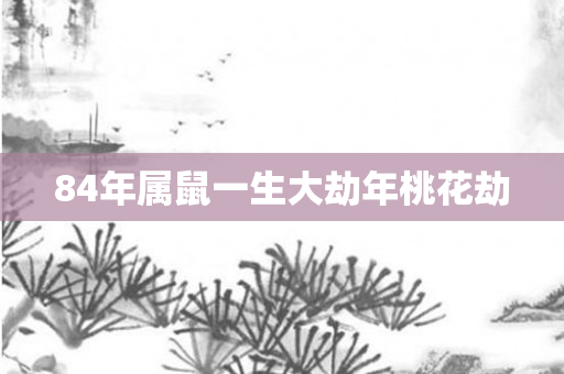84年属鼠一生大劫年桃花劫