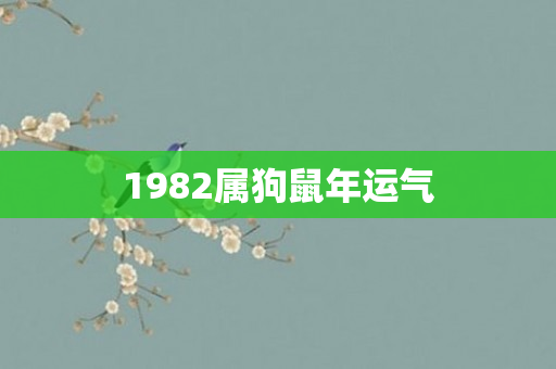 1982属狗鼠年运气