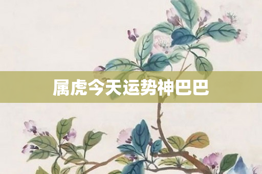 属虎今天运势神巴巴