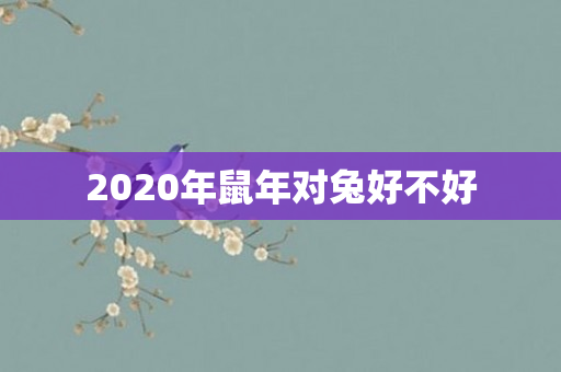 2020年鼠年对兔好不好