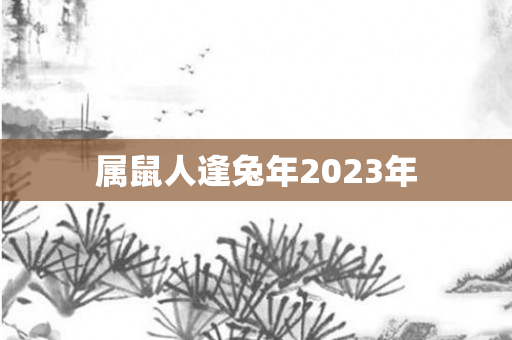 属鼠人逢兔年2023年