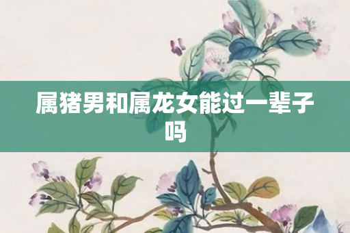 属猪男和属龙女能过一辈子吗