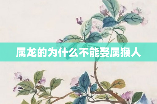 属龙的为什么不能娶属猴人