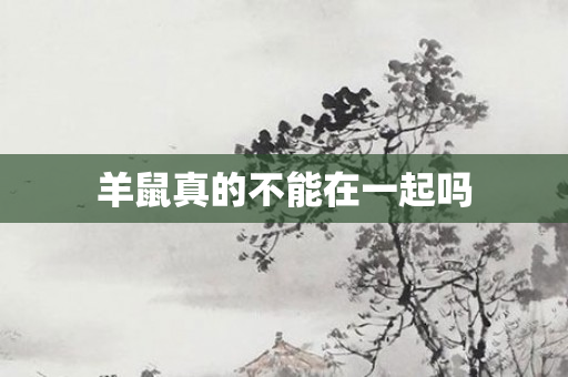 羊鼠真的不能在一起吗
