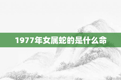 1977年女属蛇的是什么命