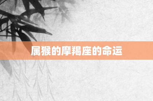 属猴的摩羯座的命运