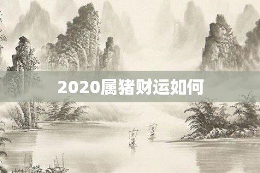 2020属猪财运如何