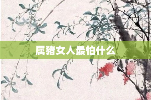 属猪女人最怕什么