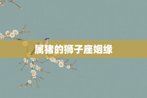 属猪的狮子座姻缘