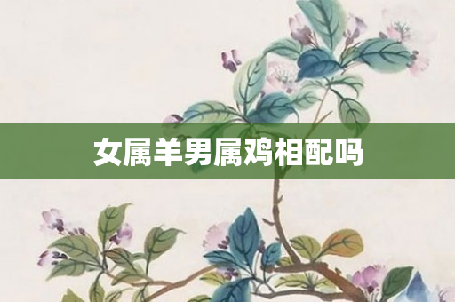 女属羊男属鸡相配吗