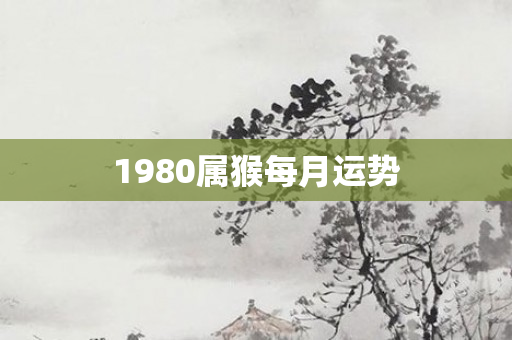 1980属猴每月运势