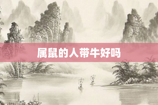 属鼠的人带牛好吗