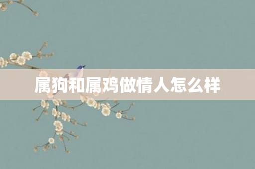 属狗和属鸡做情人怎么样