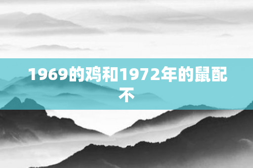 1969的鸡和1972年的鼠配不