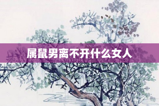 属鼠男离不开什么女人