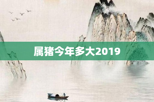 属猪今年多大2019